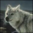 arydowely's Avatar