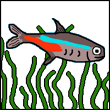 oqyqe's Avatar